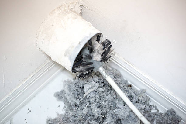 Air Duct Mold Removal in Ozark, AL